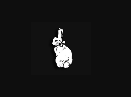 Image of SnowBunni