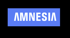 Image of Amnesia